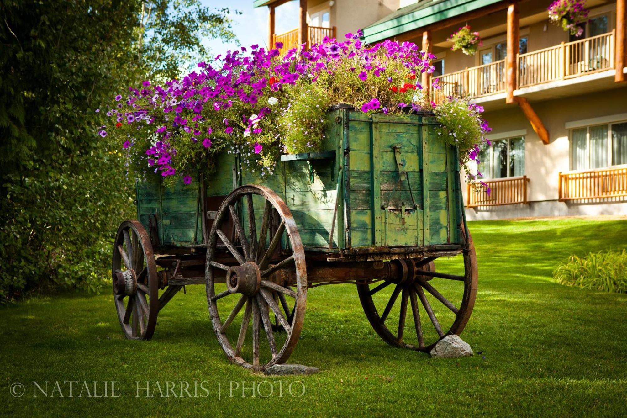 Coast Hillcrest Hotel Revelstoke Exterior foto